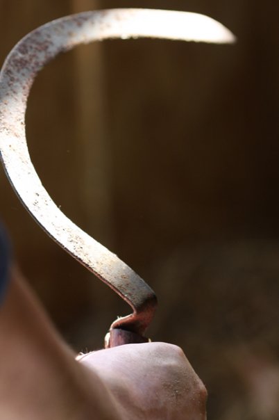 scythe
